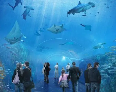 Le Vivier Avec Parking