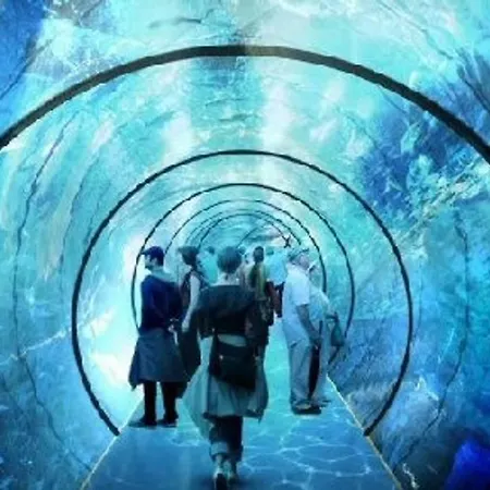 Le Vivier Avec Parking