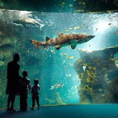 公寓 Le Vivier Avec Parking 滨海布洛涅