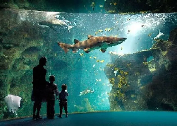 Apartment Le Vivier Avec Parking Boulogne-sur-Mer